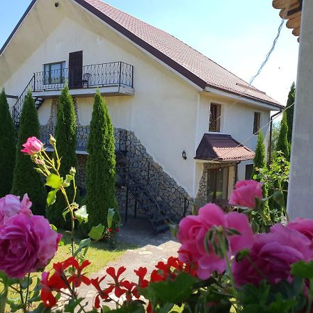Apartmán Casa Carpati Zărneşti Exteriér fotografie