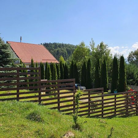 Apartmán Casa Carpati Zărneşti Exteriér fotografie