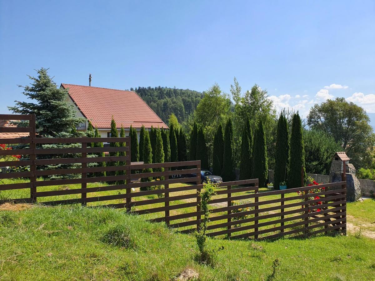 Apartmán Casa Carpati Zărneşti Exteriér fotografie