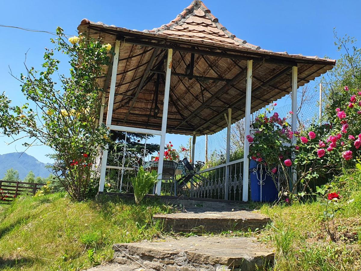 Apartmán Casa Carpati Zărneşti Exteriér fotografie