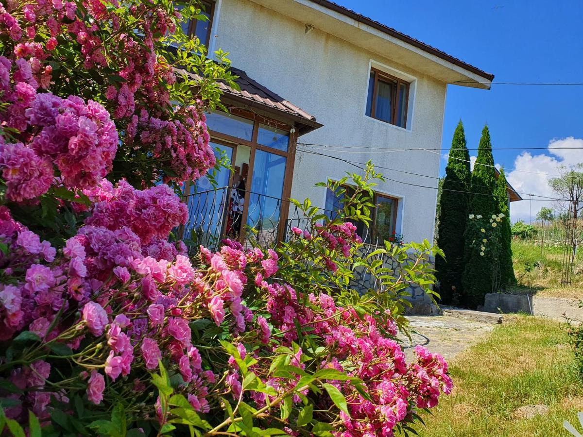 Apartmán Casa Carpati Zărneşti Exteriér fotografie